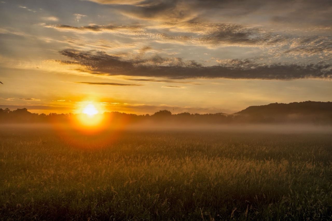 Sunrise breaking softly over a misty field