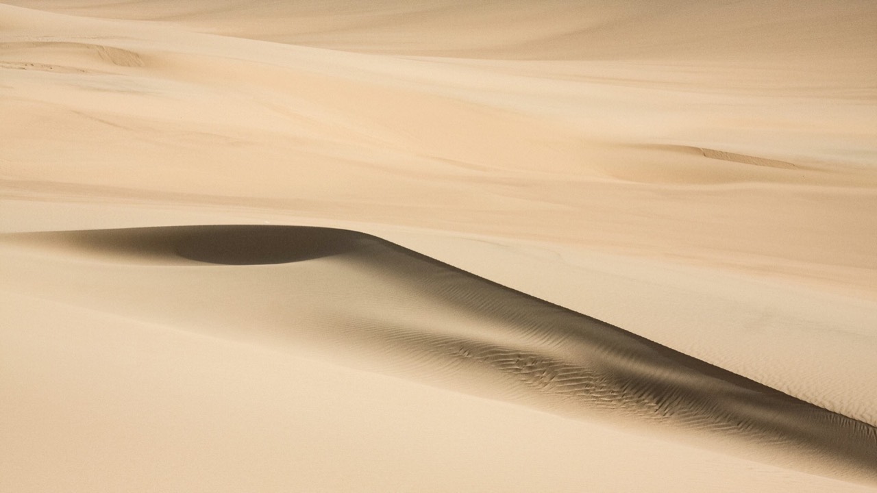 Golden desert dunes rolling under warm light